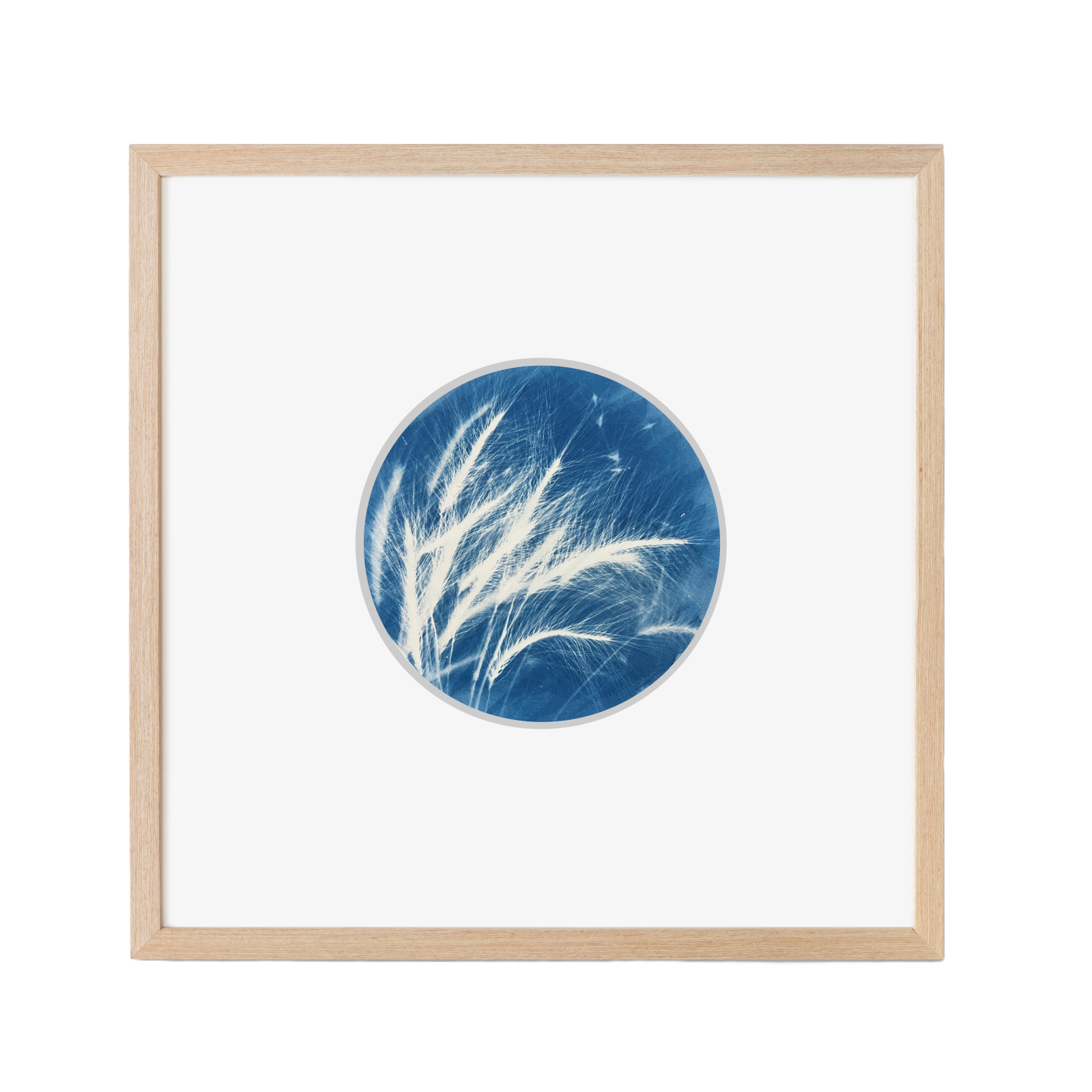 Blue Grass, Cyanotype factory print, Pink Muhly Grass, nature print, blueprint, sunprint, wild grass, blue botanical art, blue nature, modern plant