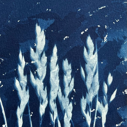 cyanotype wall art ideas