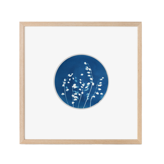 cyanotype blue art