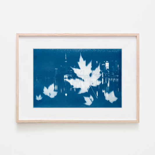 Cyanotype Solar Print