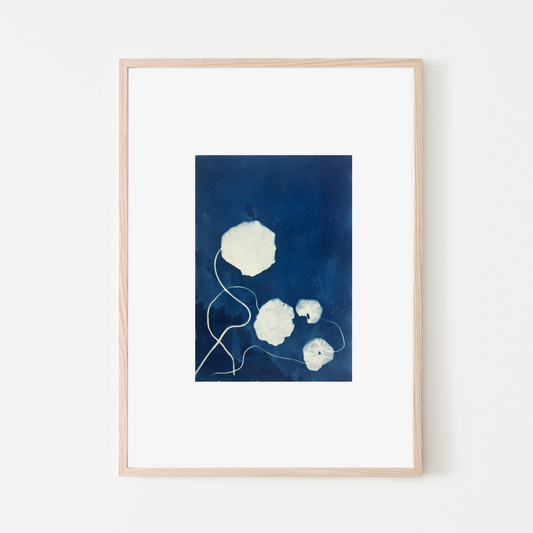 Cyanotype on paper