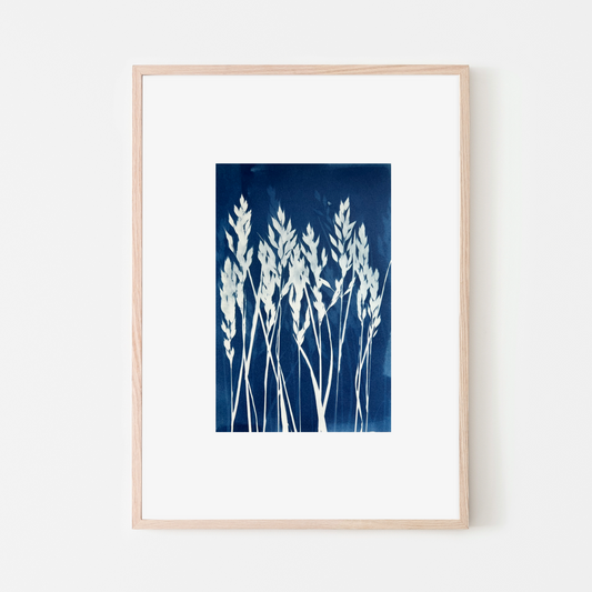 cyanotype printing on paper