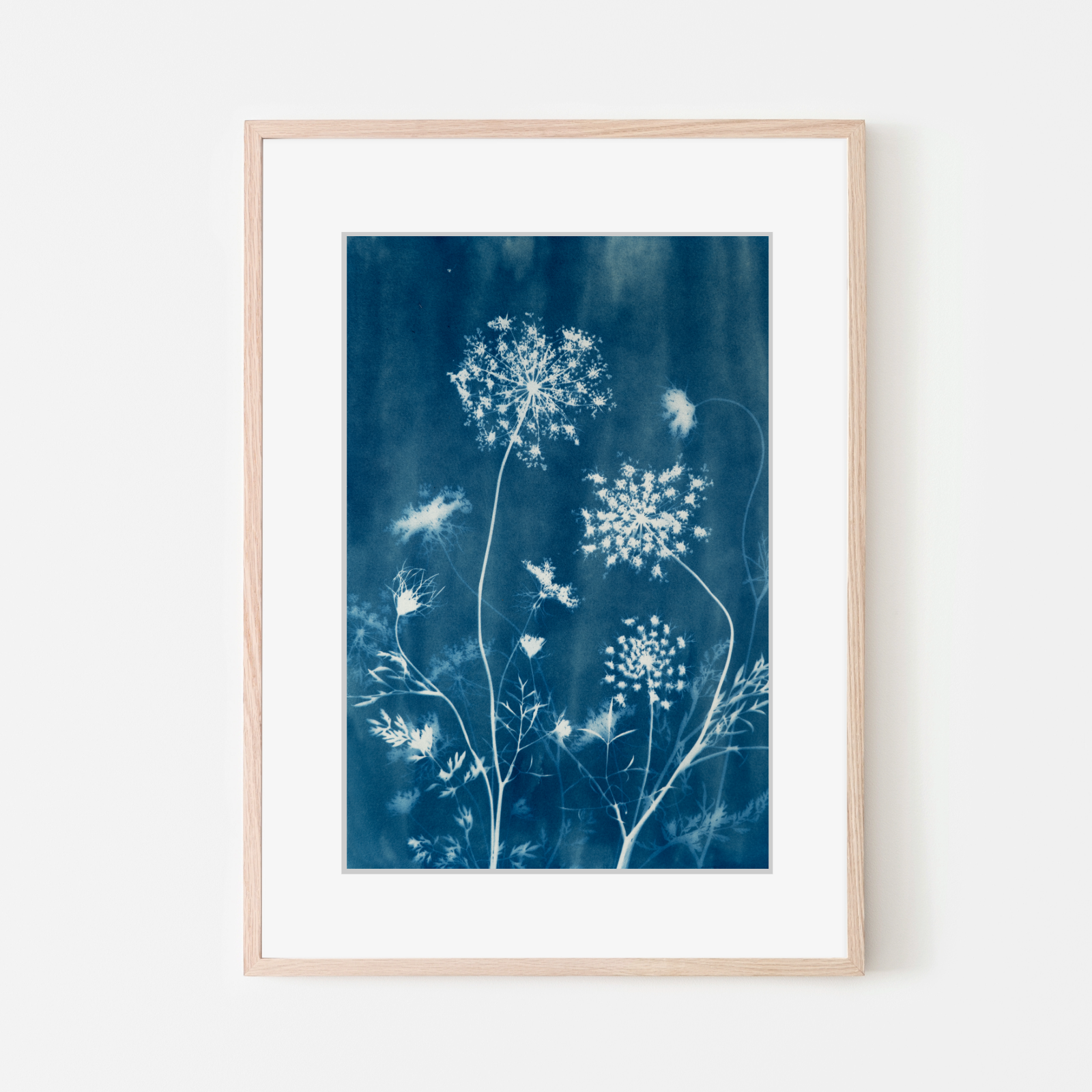 cyanotype blue print