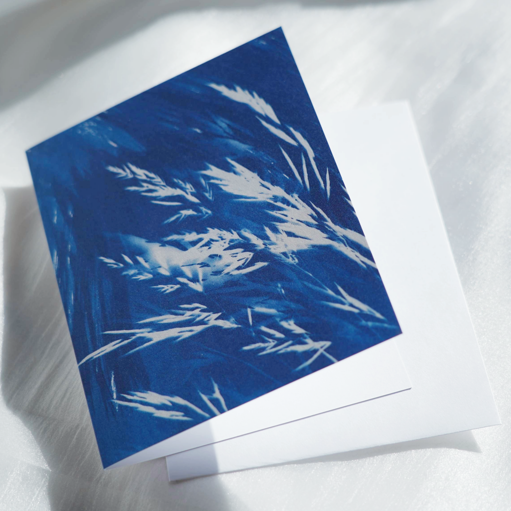 cyanotype blue art